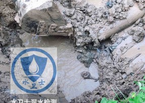 张家界水管漏水检测公司5